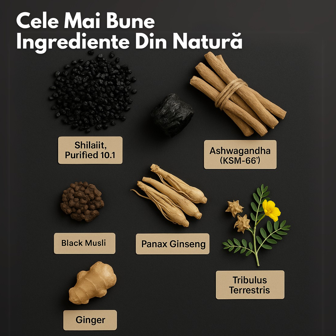 Abonament Gume cu Shilajit Pur din Himalaya – Aphroly®